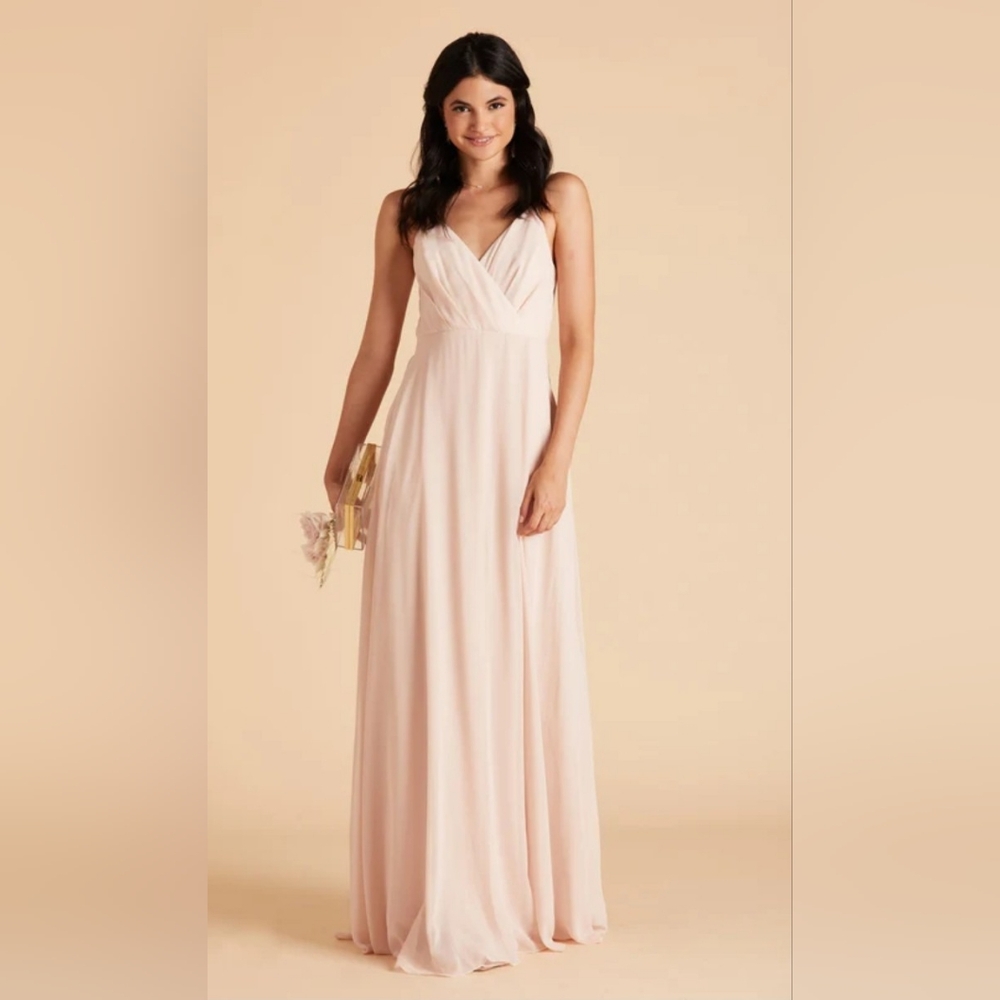 Birdy Grey Kaia Pale Blush Chiffon Dress in Large